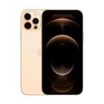 210250-385-385-Celular-Apple-iPhone-12-Pro-Max.jpg