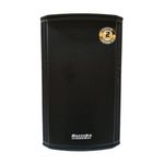 242599-385-385-Parlante-Profesional-Bazzuka-P315W.jpg