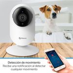 CCTV-204-W